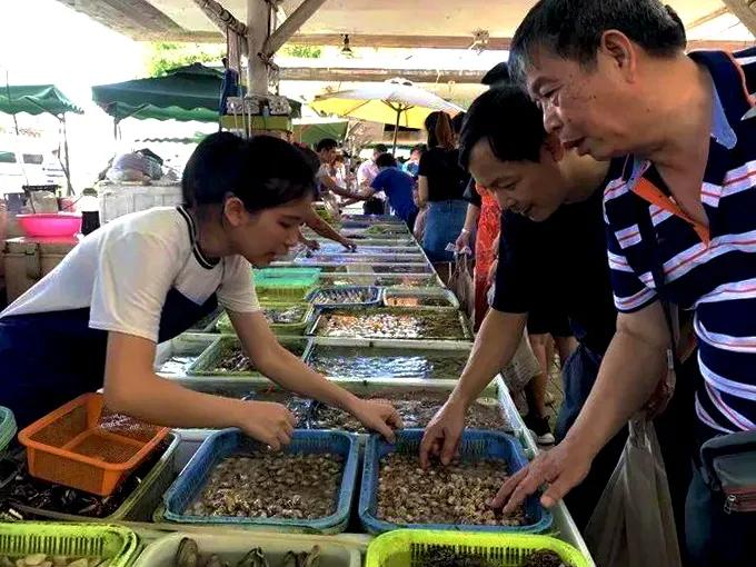 广州的河涌为什么那么脏,广州河涌的源头