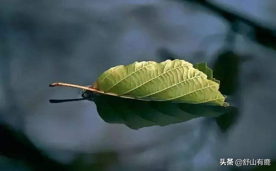 对付小人的谣言,面对小人恶言威胁怎么办