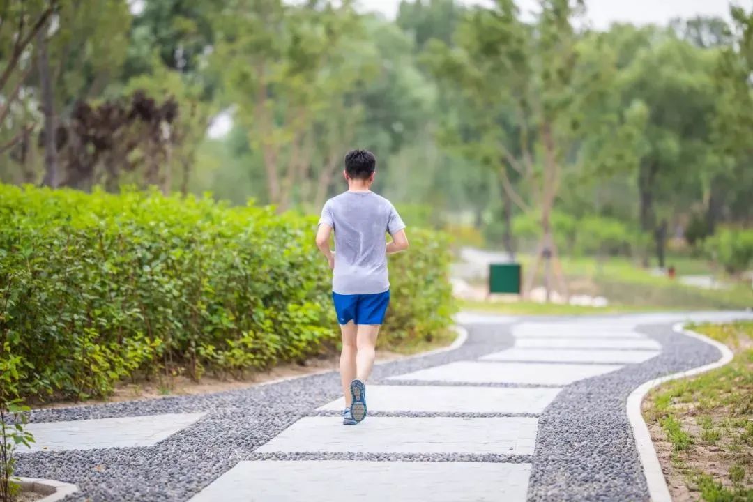 北京五环最美花海,附近免费景点踏青网红打卡地