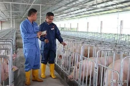 上大学学种地,上农业大学真的要种地吗