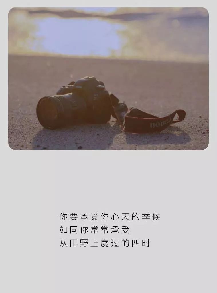 夜读总有人看懂你的朋友圈,适合夜读的朋友圈