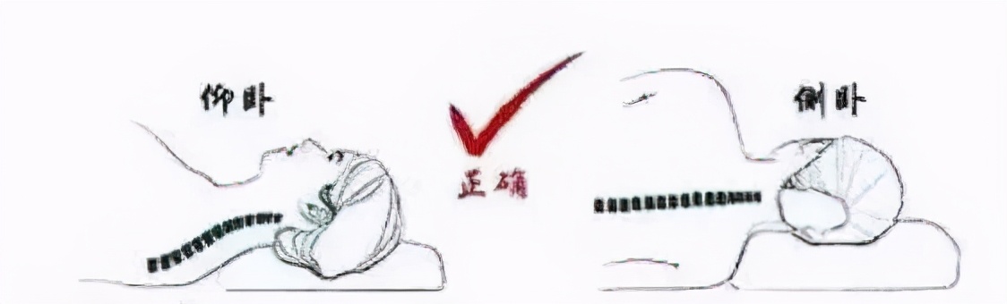 为什么酒店都用羽绒枕,酒店羽绒枕头测评