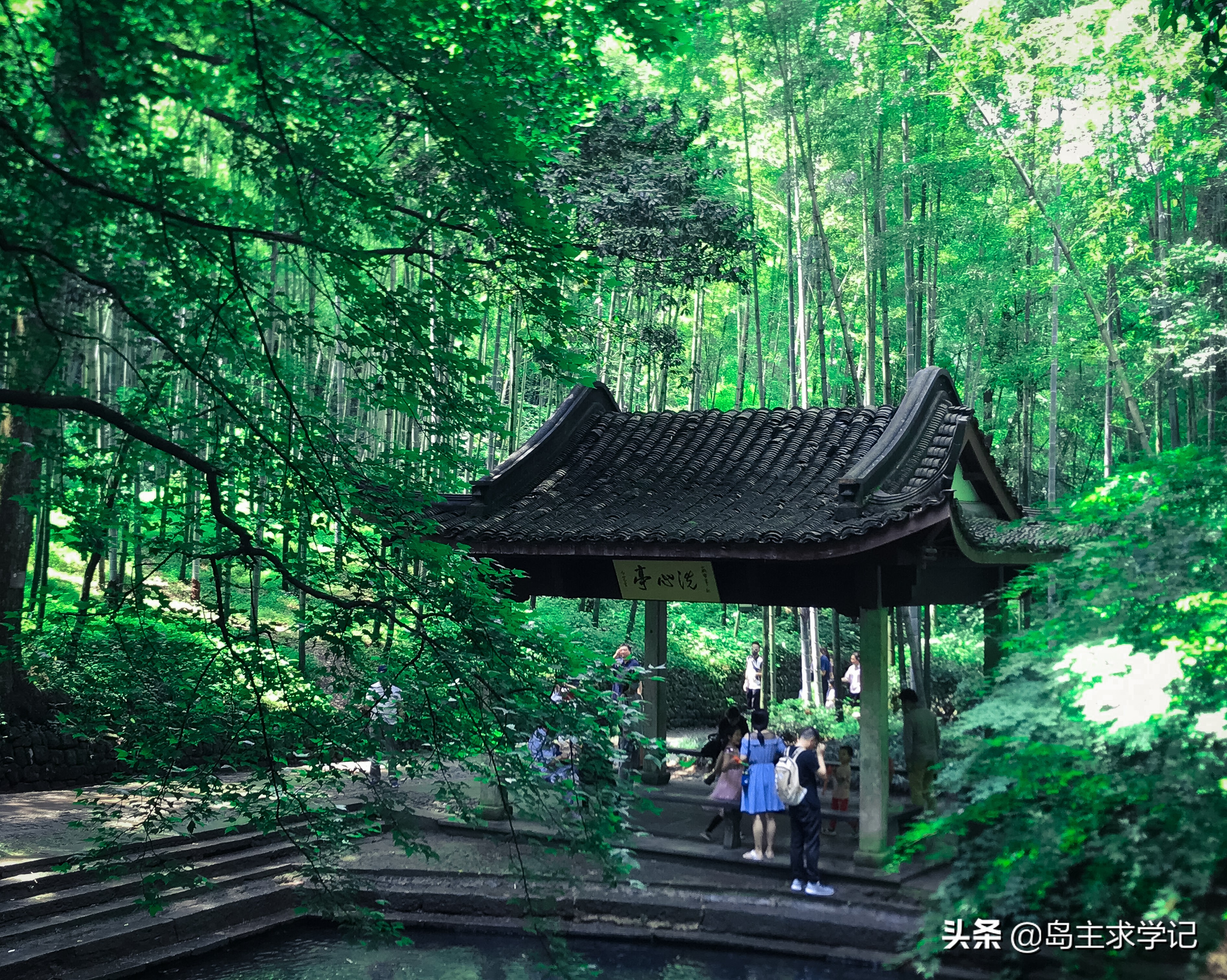 杭州西湖仙境云栖竹径,杭州好玩的地方推荐云栖竹径