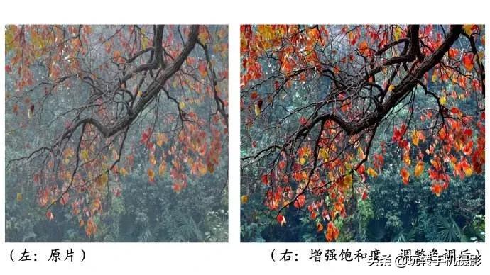 手机修图技巧大全免费,华为手机修图技巧