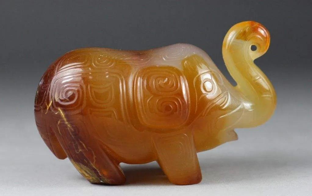 目前中国本土还有多少野生大象,野生大象为什么只剩500头