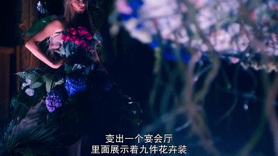 这也能拍出花?网飞又开挂了,每集都让我惊掉下巴