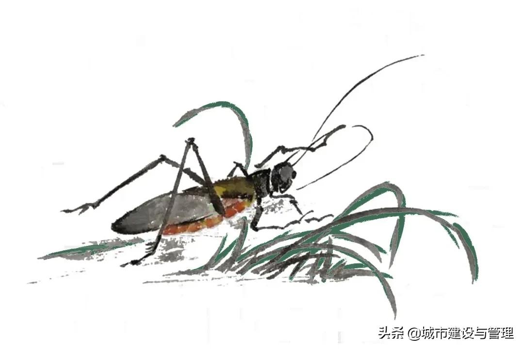 草树青翠虫鸣起，一枕清凉入梦来