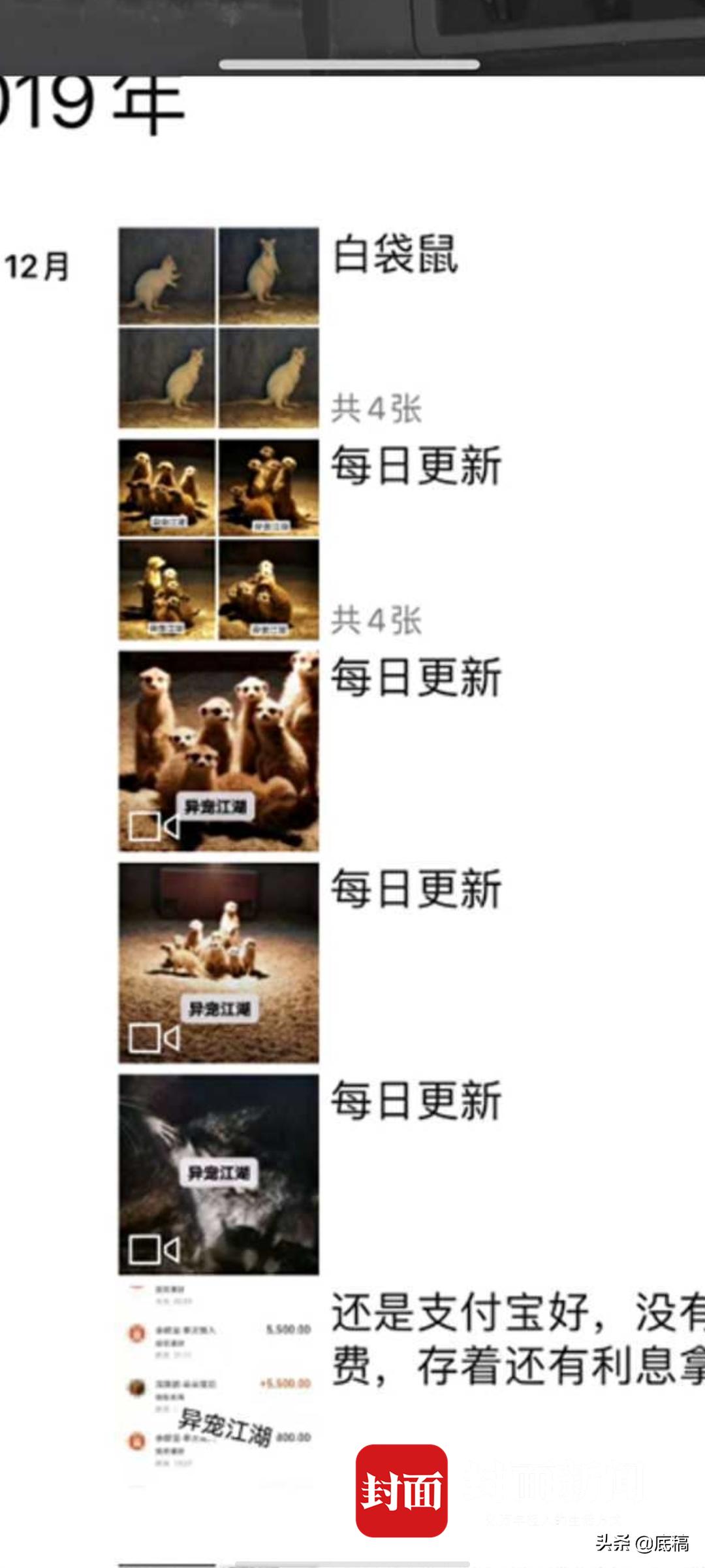 病毒之后,野味之“惑”:19名院士学者联名呼吁,杜绝野生动物非法贸易和食用