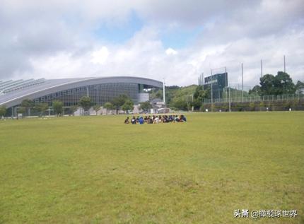 rugby2019,rugby怎么玩