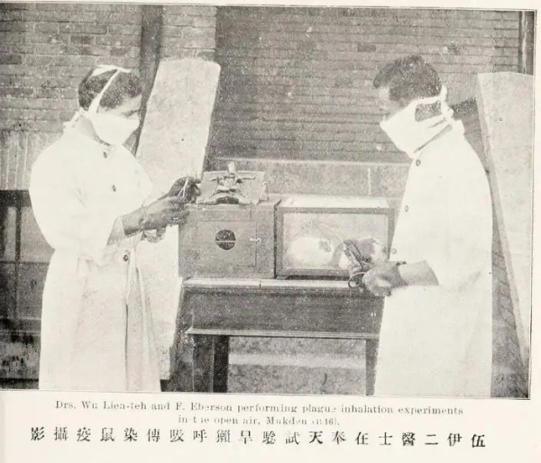 伍连德防治鼠疫为何成功,伍连德抗鼠疫共几年