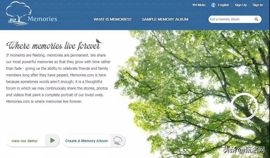 全球域名价值排名500强,一周域名交易排行榜