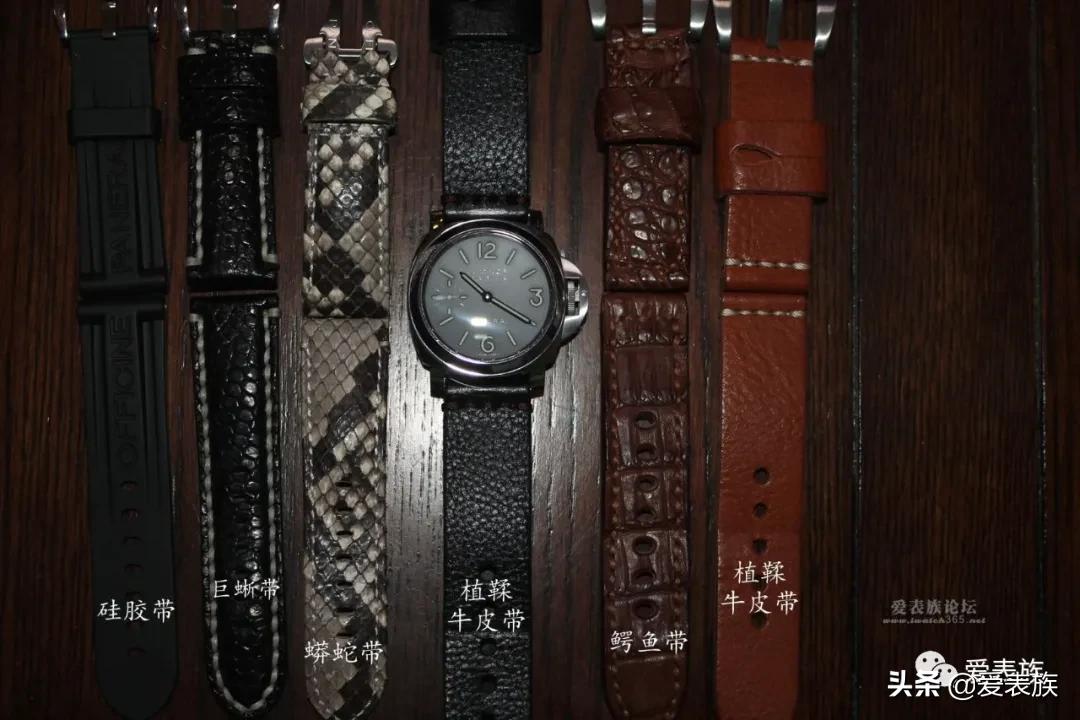 皮带皮料知识大全,皮表带跟钢表带如何选择