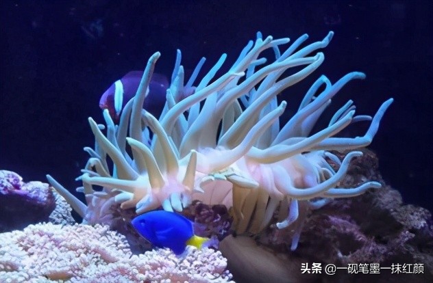 科学常识20个,科学常识