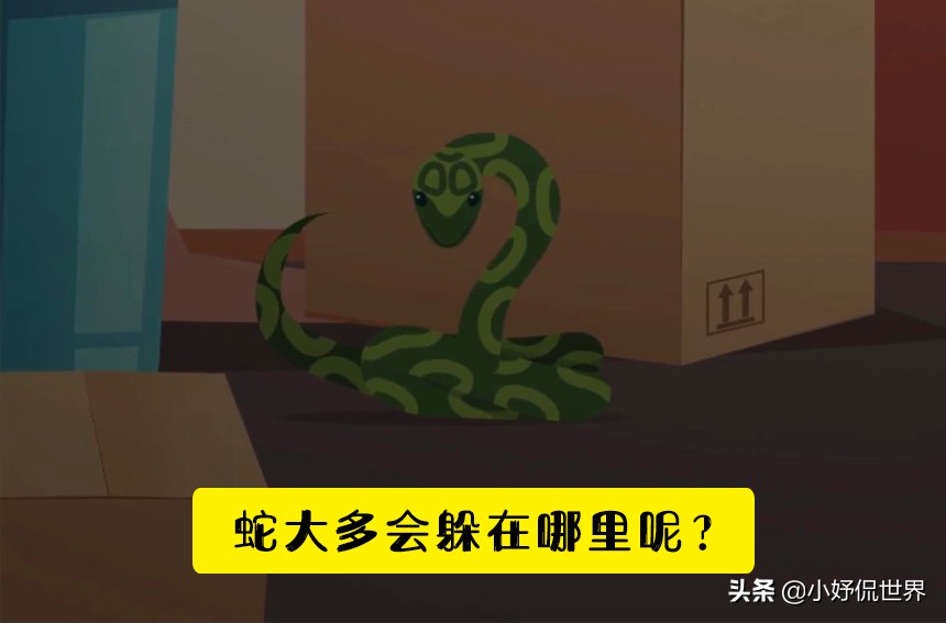 脑洞大开怎么才能过去呢,如果蛇闯进家里怎么办