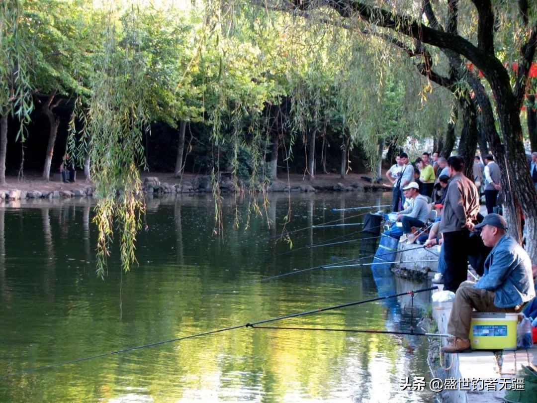 钓鱼的线组和子线怎么选择,钓鱼线组跟子线怎么选择