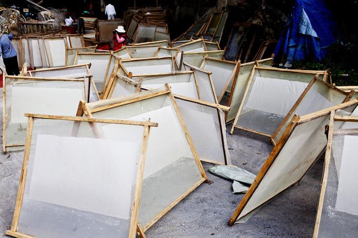 水葫芦泛滥成灾如今为何消失了,比水葫芦泛滥成灾还要厉害的植物