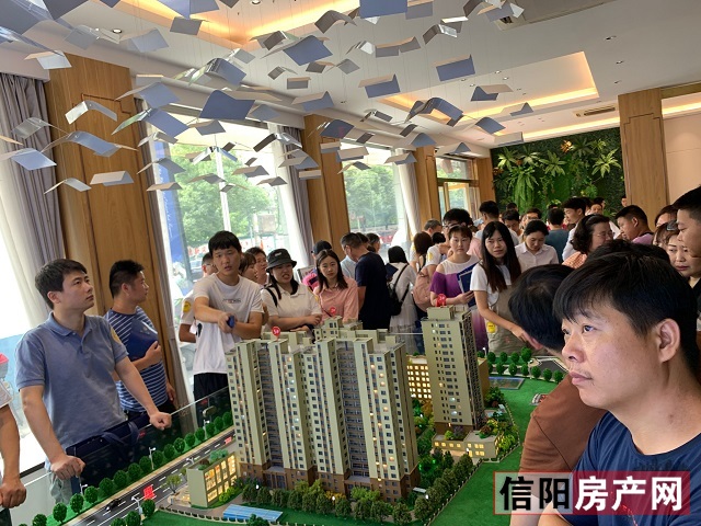 淇¢槼妤煎競鐏垎鍦洪潰,淇¢槼妤煎競鐏垎鐜板満