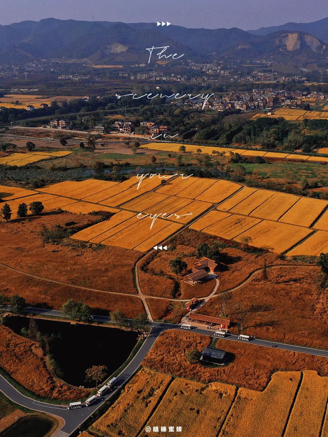 秋天杭州冷门但好看的景点,杭州赏秋景最好的地方