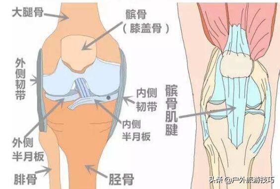 自行车骑行保护膝盖,如何在骑行中保护好膝盖