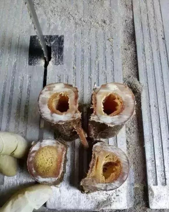 椹鎵嬩覆鍦嗙彔,椹鎵嬩覆