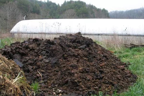 活了大半辈子，才知道粪肥这么用！