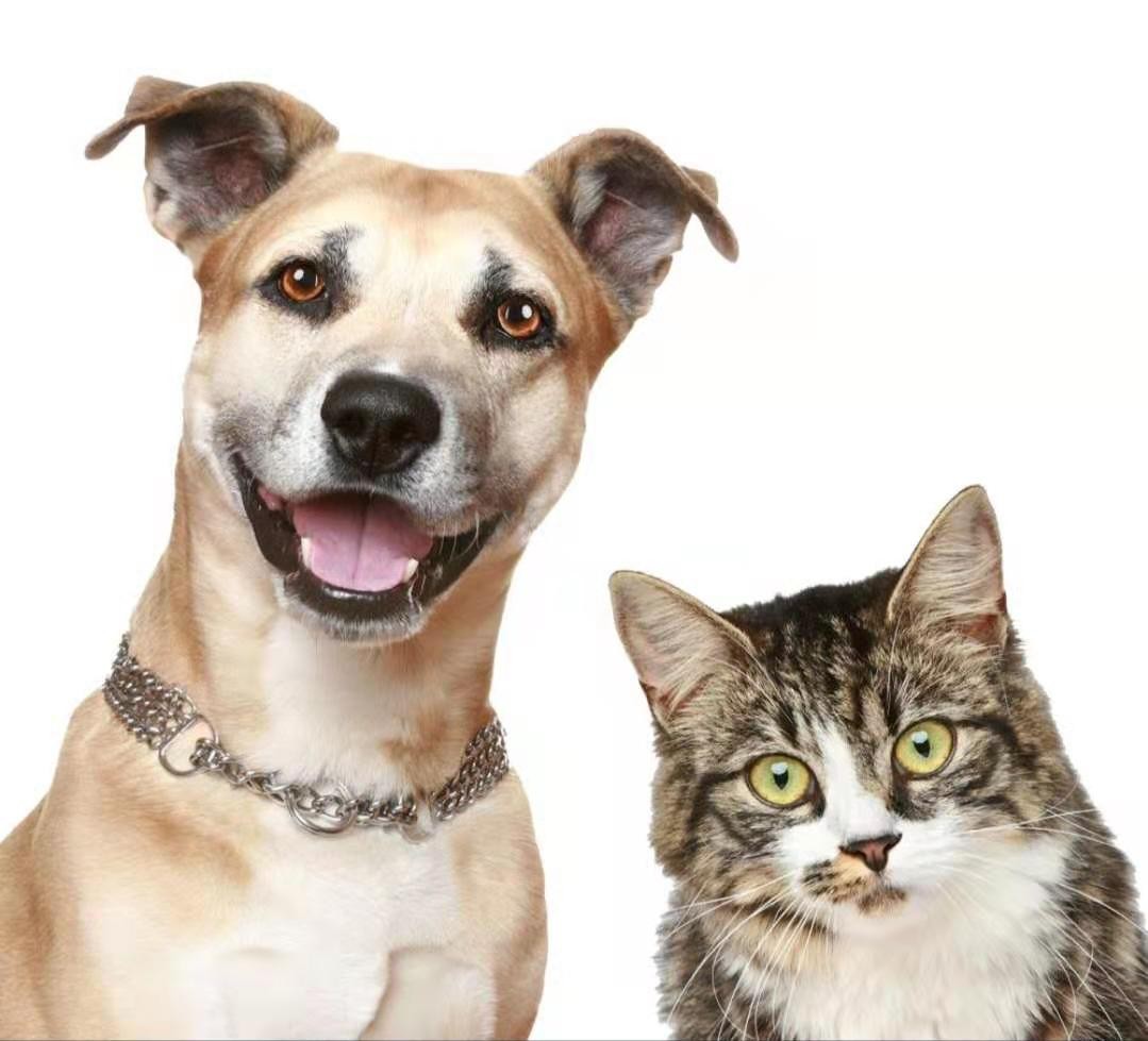 中国“无根一代”正在崛起:越来越多的90后,已经不和亲戚往来