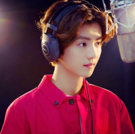 鹿晗的应援物都有哪些,鹿晗粉丝应援有多炸裂