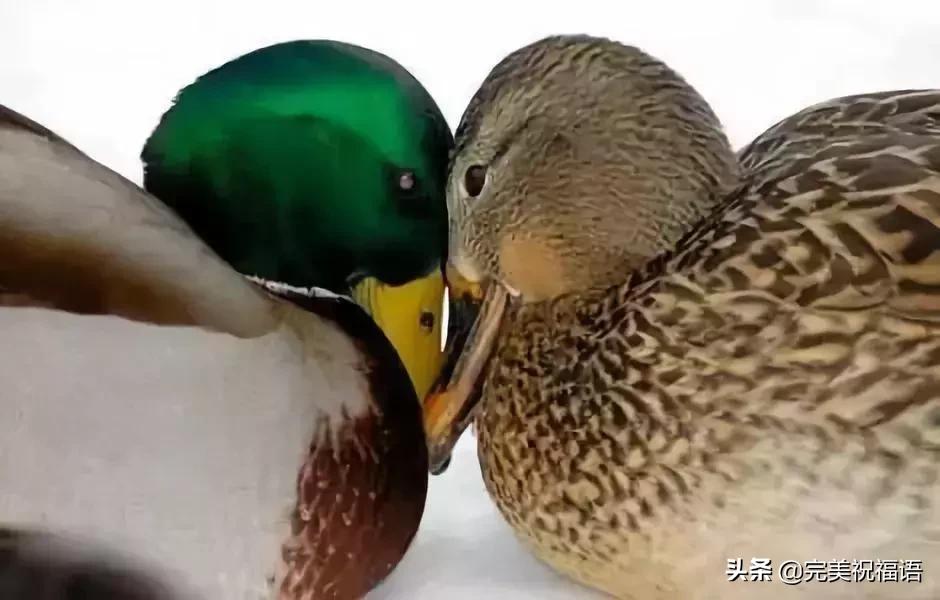 今天2.1，2月第1天，谁编的，太好笑了，给群里乐一乐~