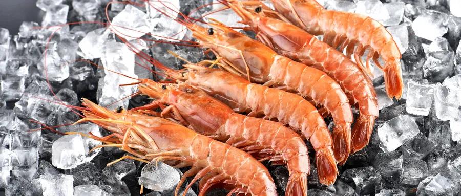 中秋佳节关爱老人传递正能量,中秋节关爱老人公益活动