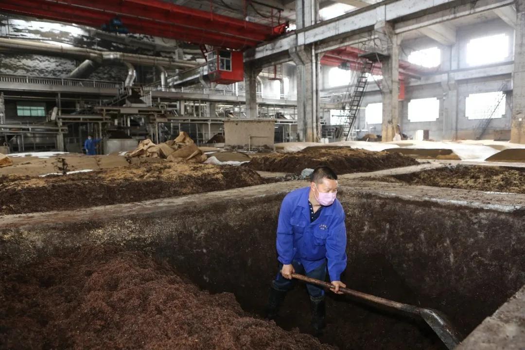 湖北稻花香酒业集团有限公司,湖北稻花香酒业简介