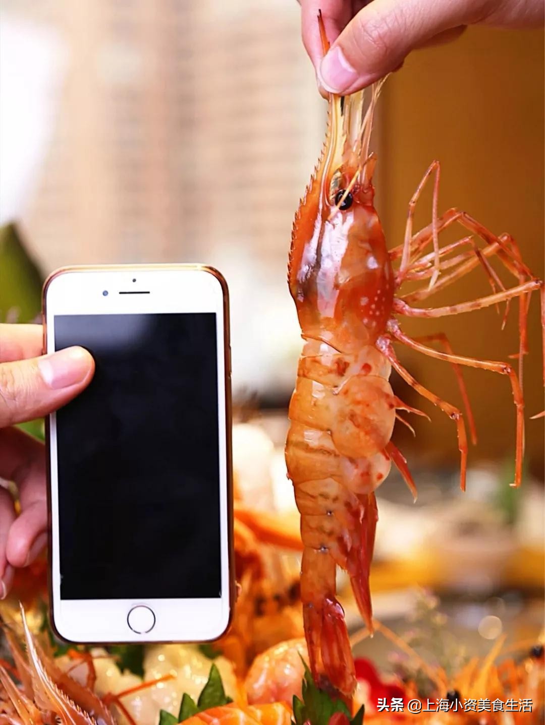 上海最好的十家日料放题店,日料放题排行榜