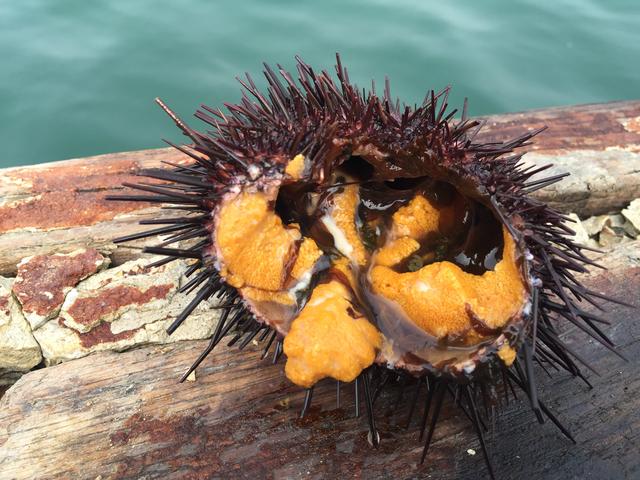 端午海岛旅游攻略,端午海岛游