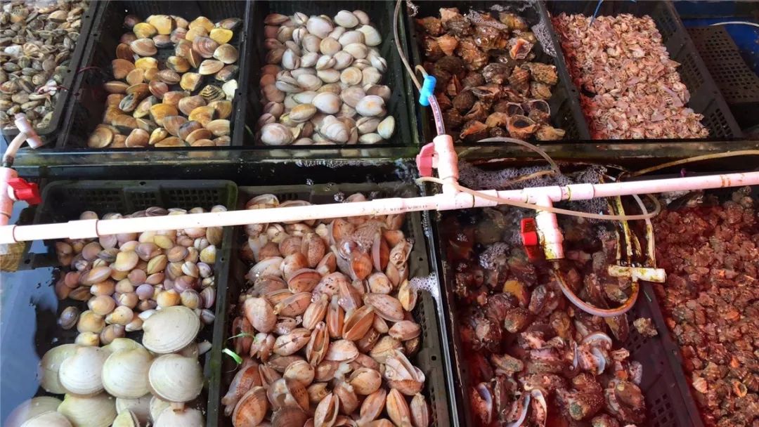 厦门10元店小商品最全批发市场,厦门最大的一级批发市场