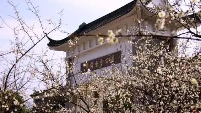 周末广州市内哪个公园最值得去,广州十大避暑旅游景点