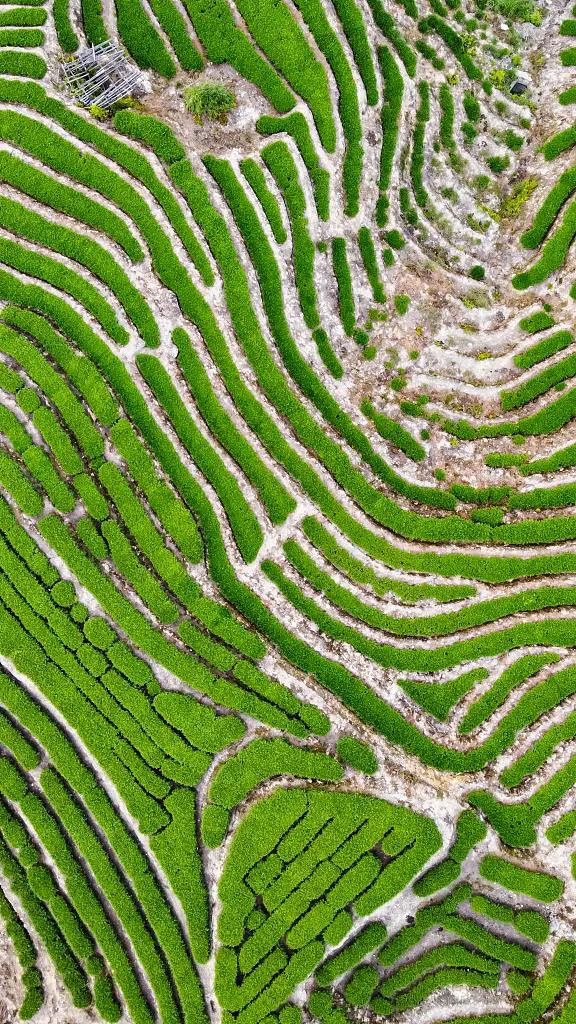 泉州，你可真是太拼了