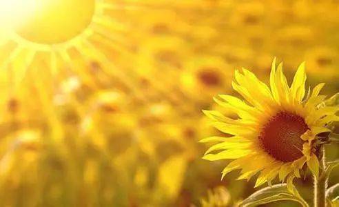 人生三大不幸少年得志飞来横祸,人生三大不幸少年得志排第一