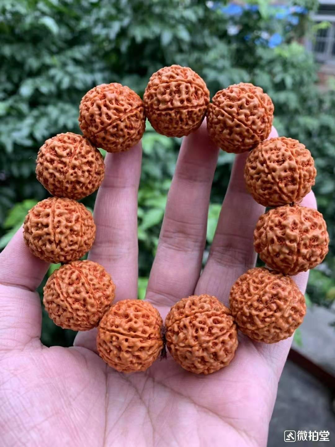 大小金刚菩提子区别图片,对金刚的认识和方法