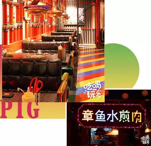 小猪小牛吃火锅,小猪小牛最新视频