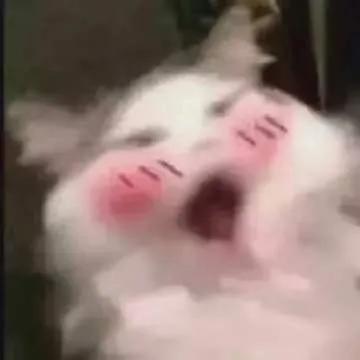 那些年嗑过的cp最萌身高差,最萌身高差的韩剧cp