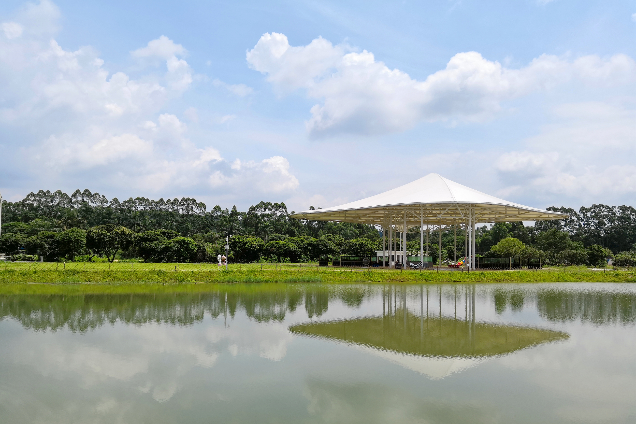 种草种草！东莞市区内竟然隐藏了天空之境