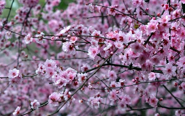 再过半个月，全国人民都将羡慕南阳