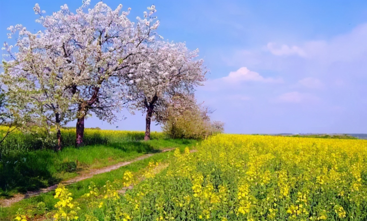 精神心理疾病你了解几种,躁郁症患者不会承认自己是躁郁症