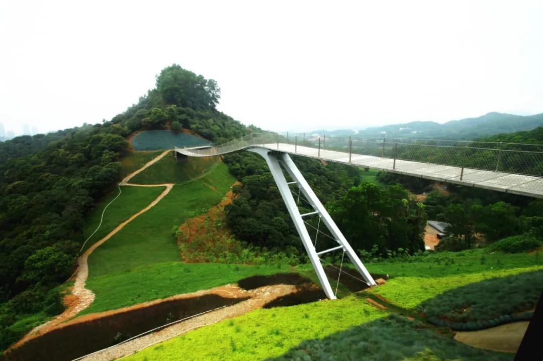 住在深圳光明新区好不好,住光明来南山上班