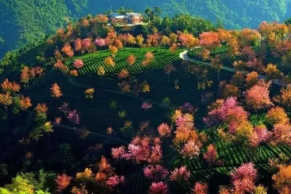 下半年旅行最佳时间表,2023最佳旅游时间表