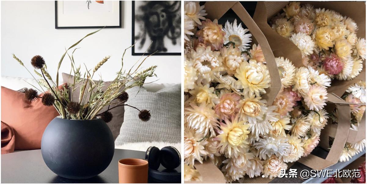 北欧风推荐的店铺有哪些,美式风格淘宝店铺推荐小众