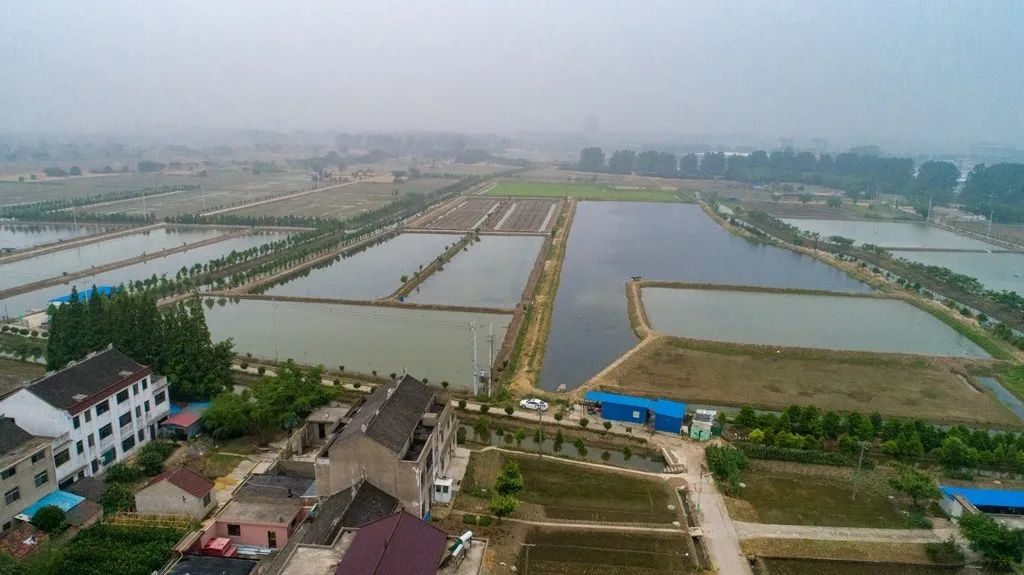 “九九中沟”，见证西江村的“久久”幸福——美不美？