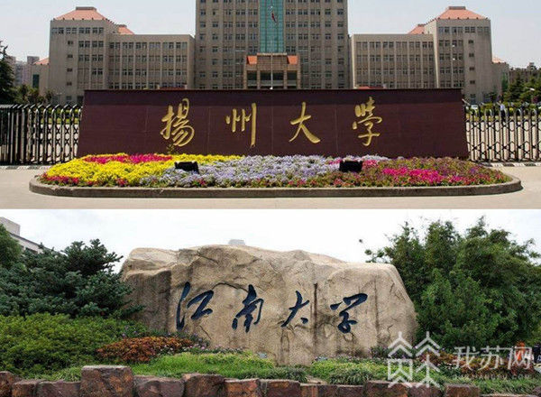 江苏省违规办学处理,江苏省校外培训机构违规处理