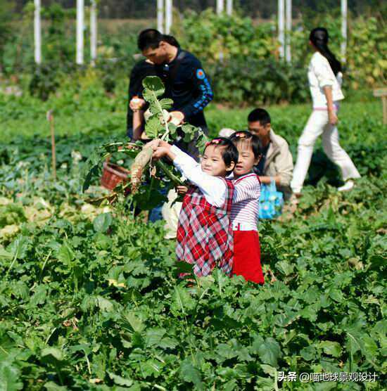 低成本美丽乡村造景,低成本打造乡村旅游