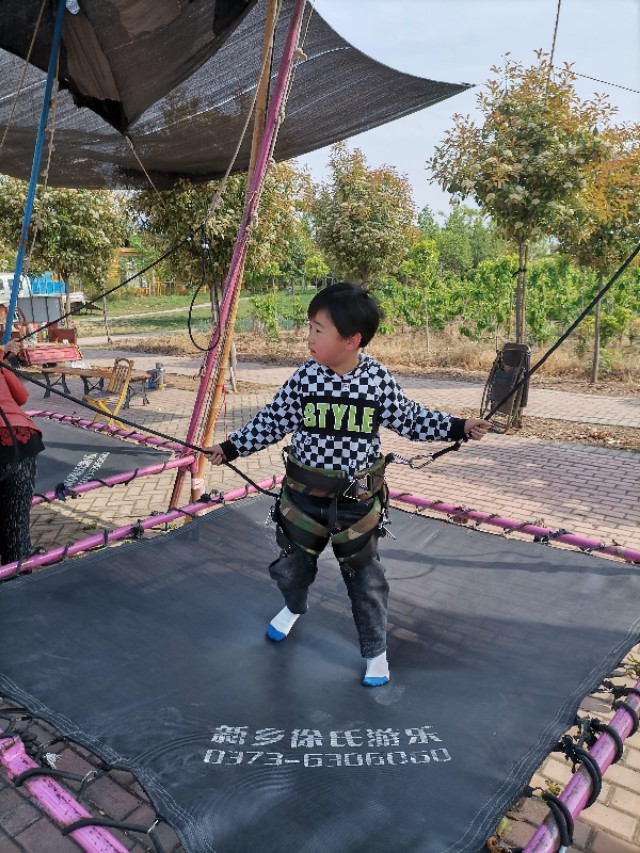 古县牡丹园游记作文,牡丹园游记