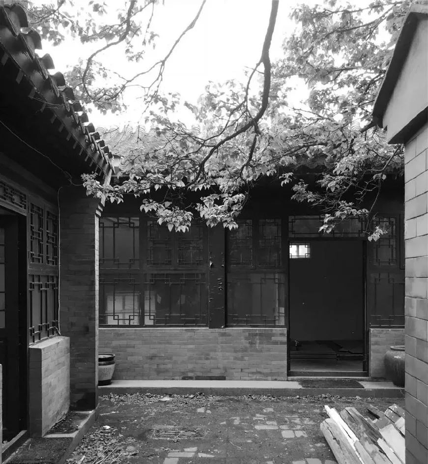 北京姑娘在西藏开民宿,北京姑娘在云南开民宿